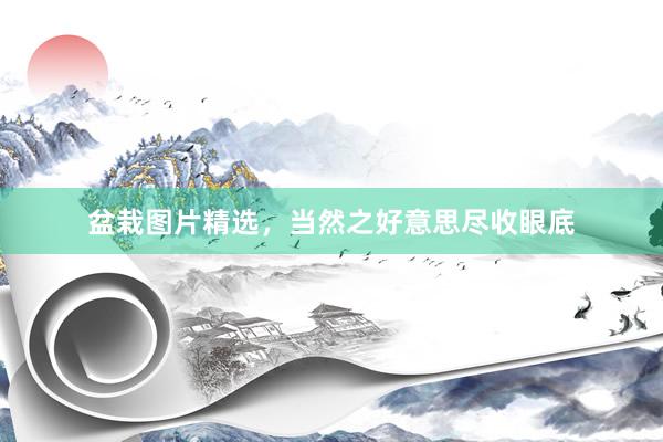盆栽图片精选，当然之好意思尽收眼底