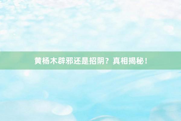 黄杨木辟邪还是招阴？真相揭秘！