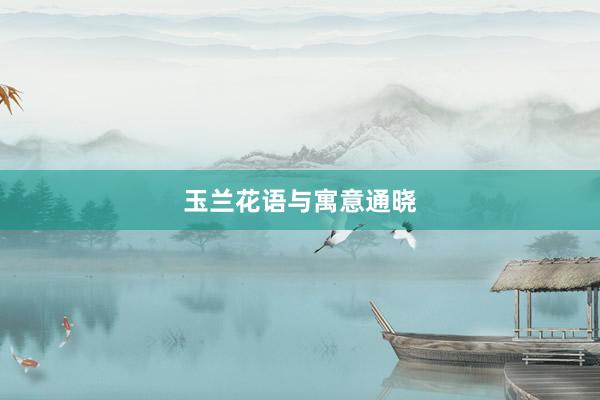 玉兰花语与寓意通晓