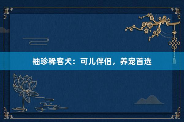 袖珍稀客犬：可儿伴侣，养宠首选