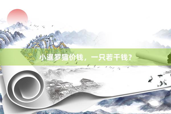 小暹罗猫价钱，一只若干钱？